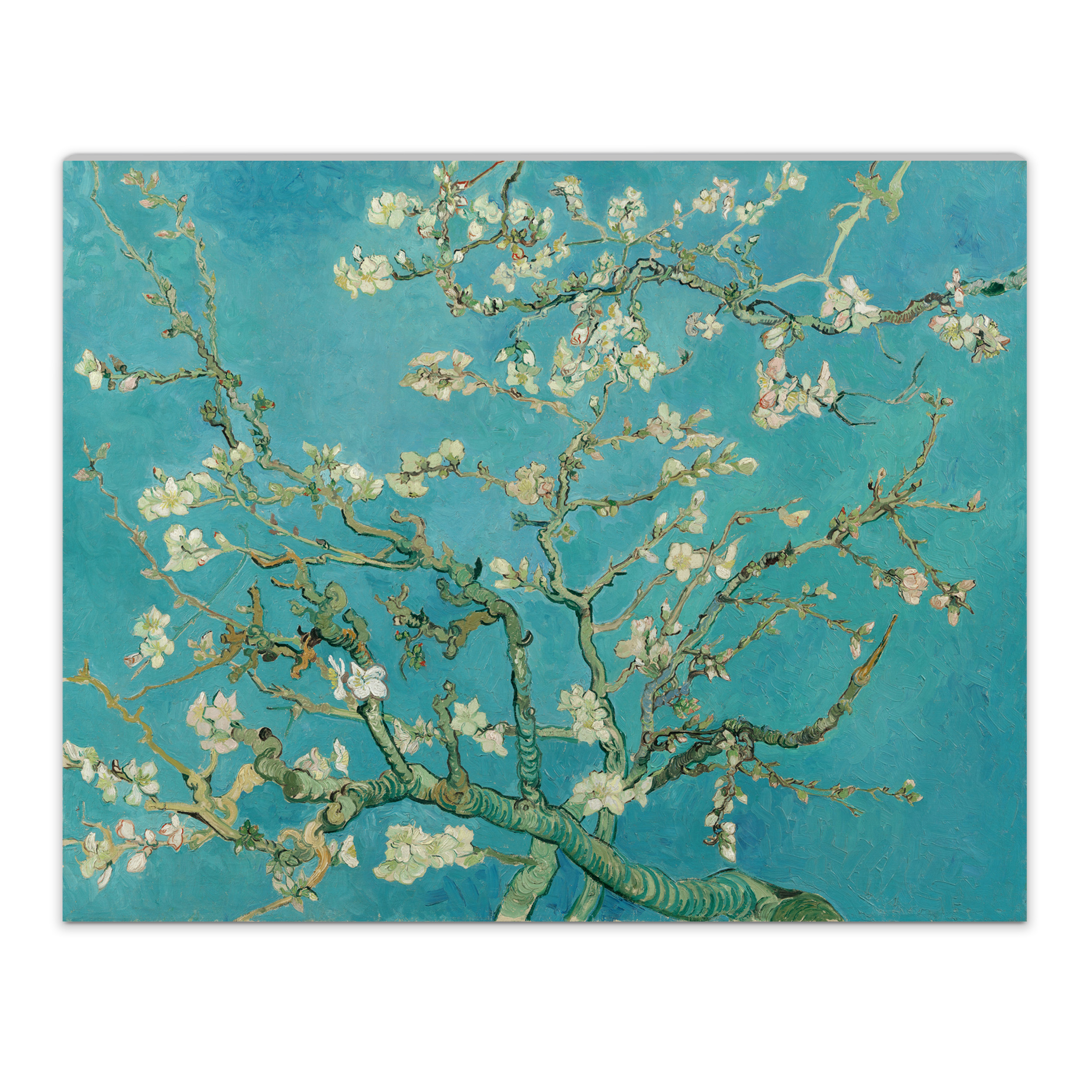 Almond blossom Van Gogh Museum shop